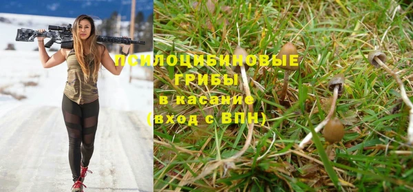 ALPHA PVP Туринск
