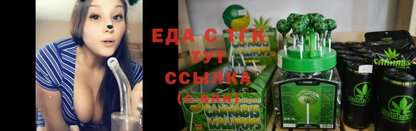 гашик Тихвин