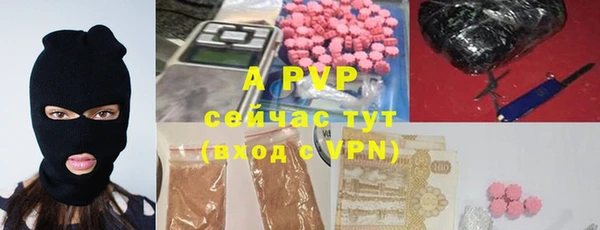 гашик Тихвин