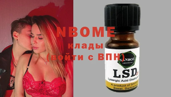 гашик Тихвин