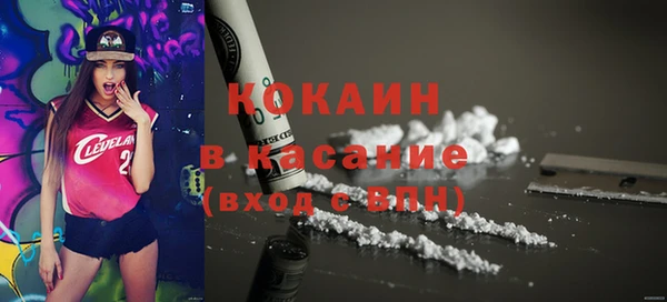гашик Тихвин