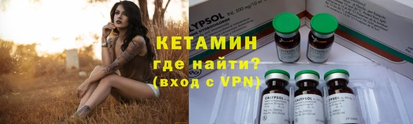 гашик Тихвин