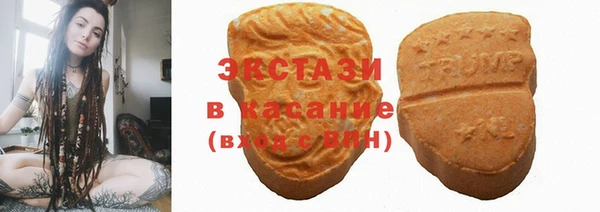 гашик Тихвин