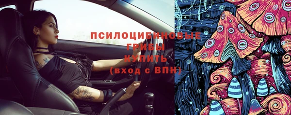 гашик Тихвин