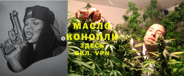 гашик Тихвин