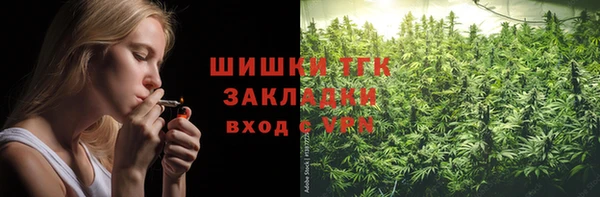 гашик Тихвин