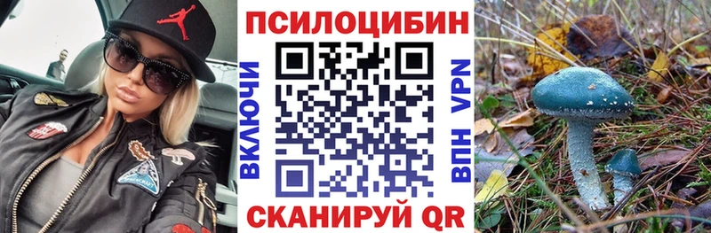 Галлюциногенные грибы Cubensis  KRAKEN как войти  дарк нет как зайти  Ставрополь 