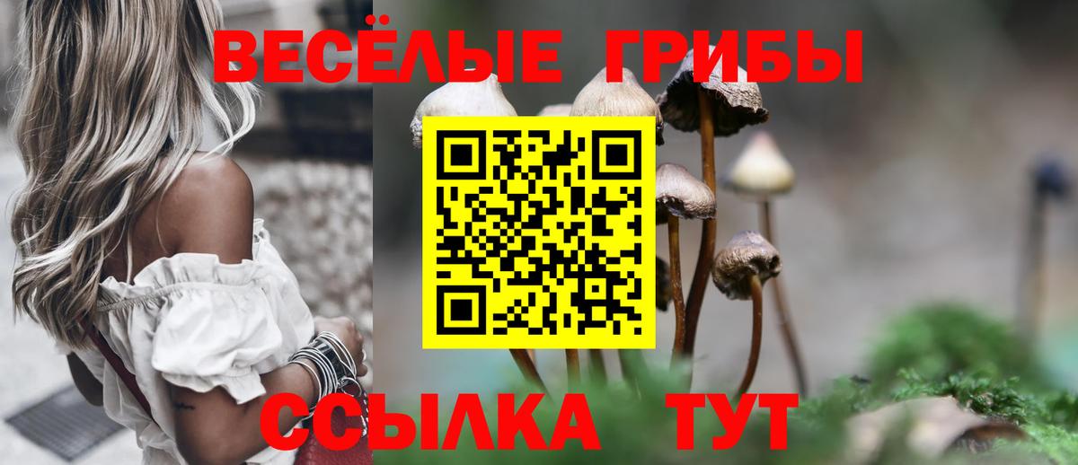 Галлюциногенные грибы мухоморы Ставрополь